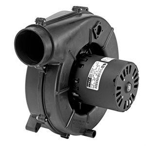 # A196 - 1/25 HP, 115 Volt