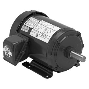 # S10P2A - 10 HP, 208-230/460 Volt